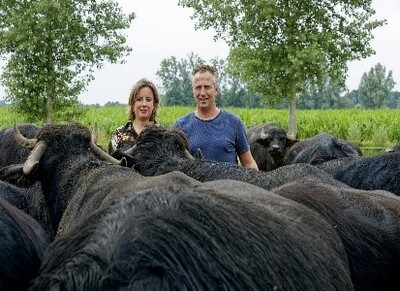 waterbuffelboerderij